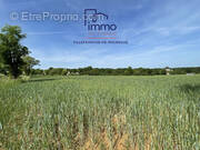 Terrain à VAILHOURLES