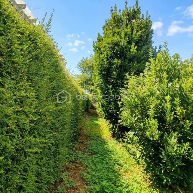 Terrain à bâtir de 550 m² – Bourg de Tréméreuc – 10 km de Dinard - photo 6