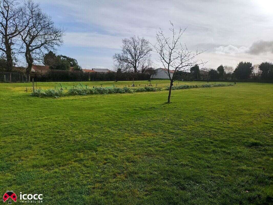 Terrain 3000 m² à Chateau-Guibert  - photo 2