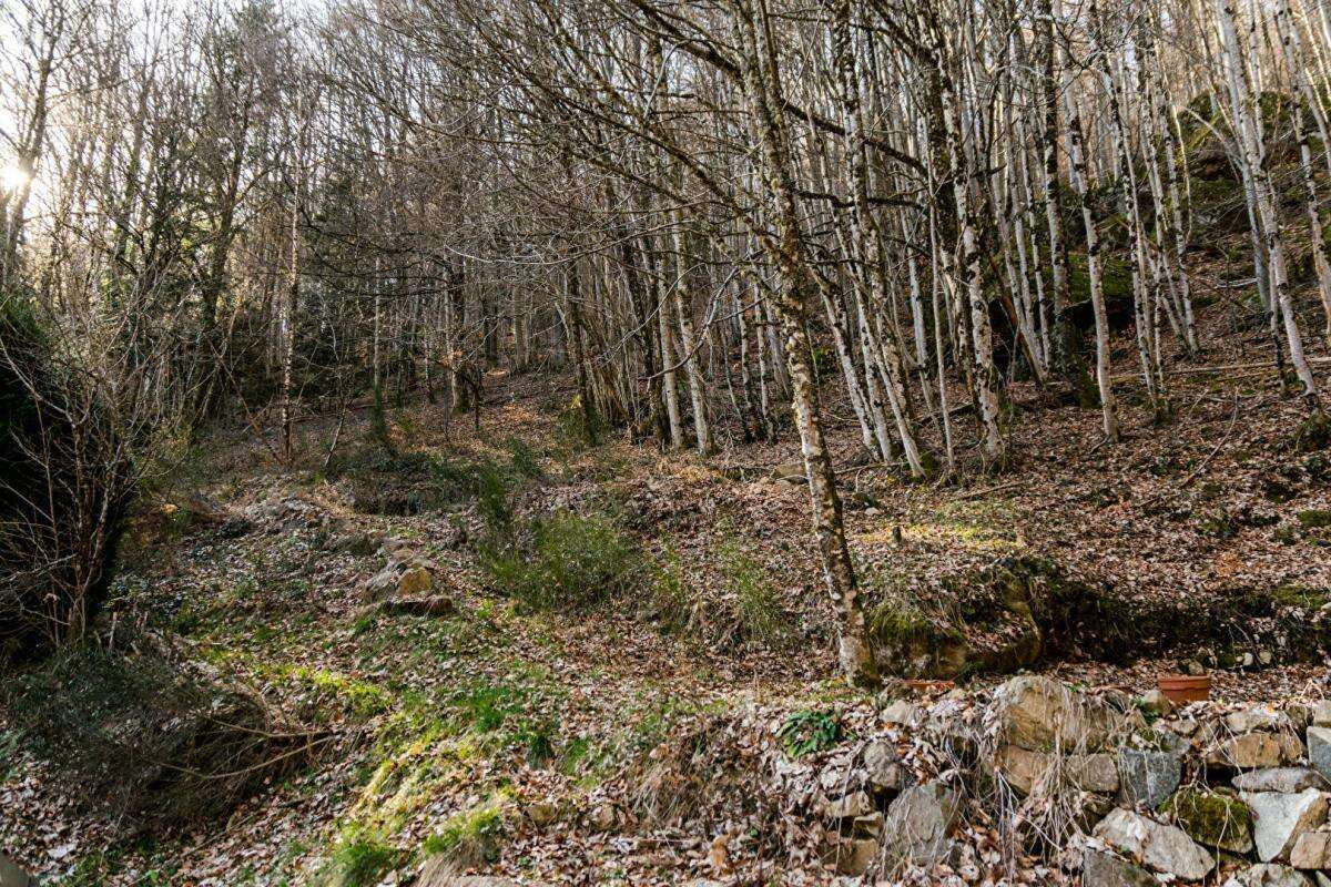 Maison à AUXELLES-HAUT