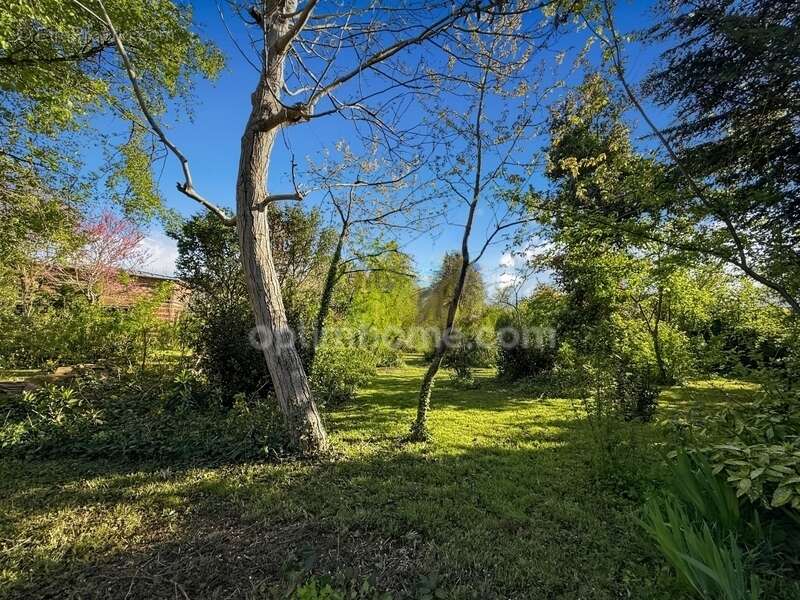 Propriete -  maison bourgeoise d'exception 10 pieces - 220 m2 - terrain 2500 m2 - photo 24