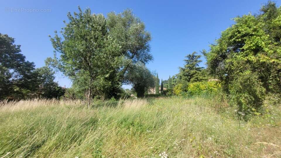 Terrain à AOUSTE-SUR-SYE