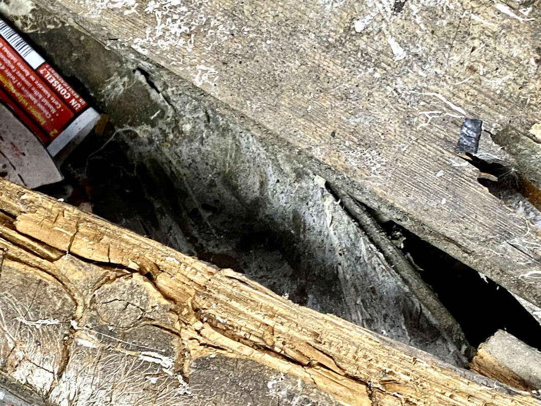 Idéal investisseur - photo 62