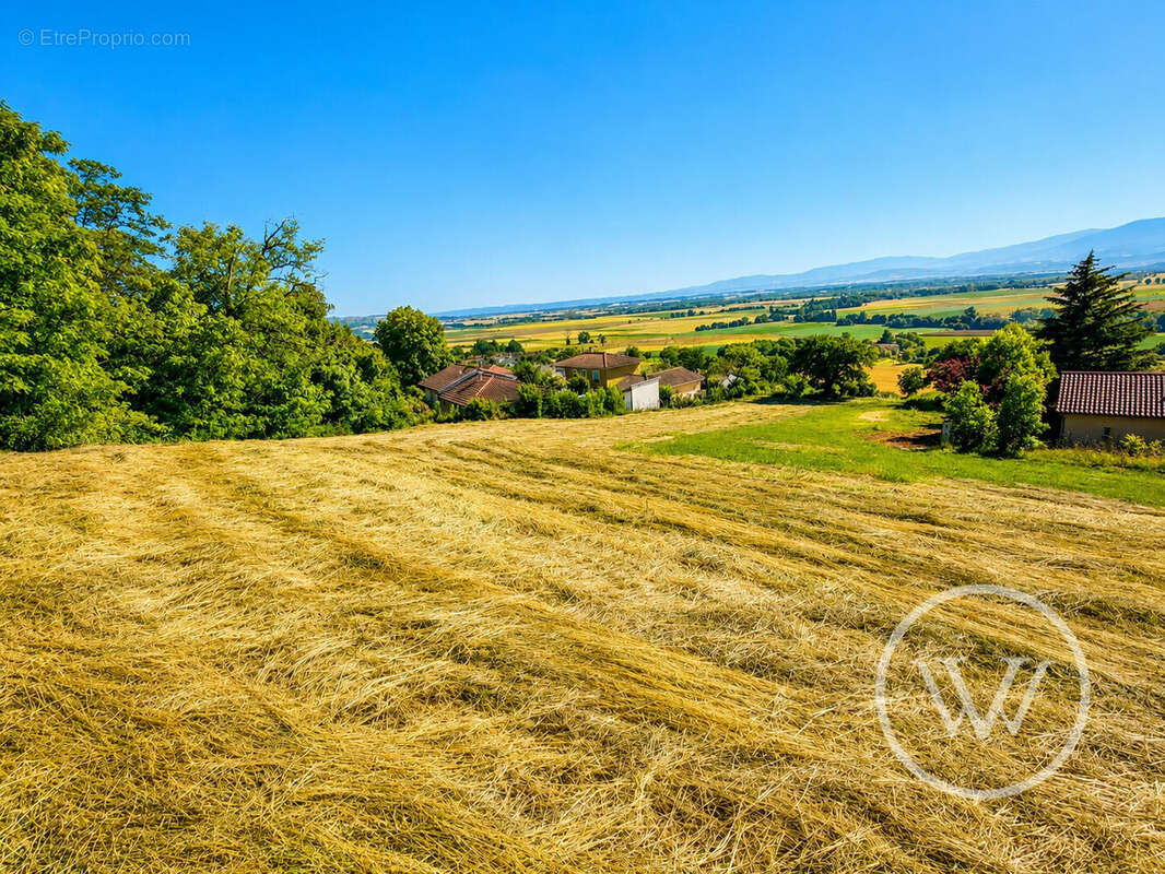 Terrain 2033 m² à Les Cotes-D'arey  - photo 5