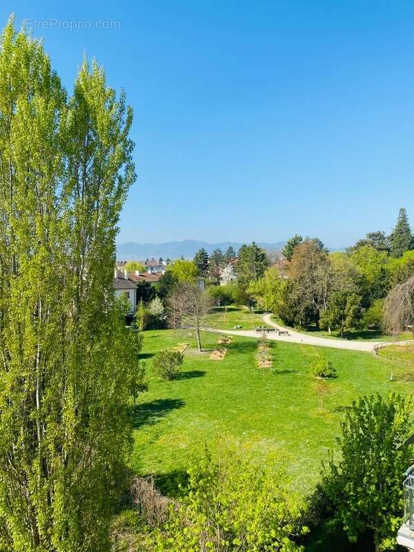 Appartement à COLMAR