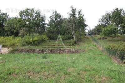 Terrain à CHOUZY-SUR-CISSE
