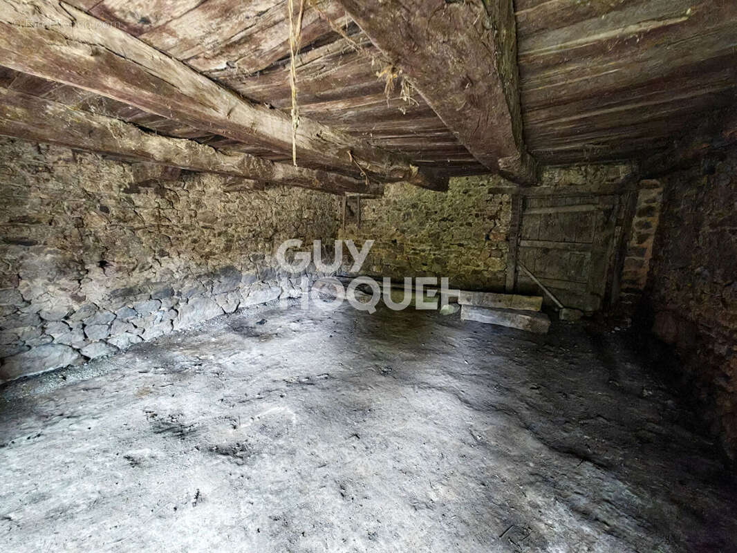 BROUALAN - Exclusivité - photo 5