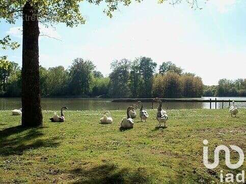 Photo 9 - Maison à EGRISELLES-LE-BOCAGE