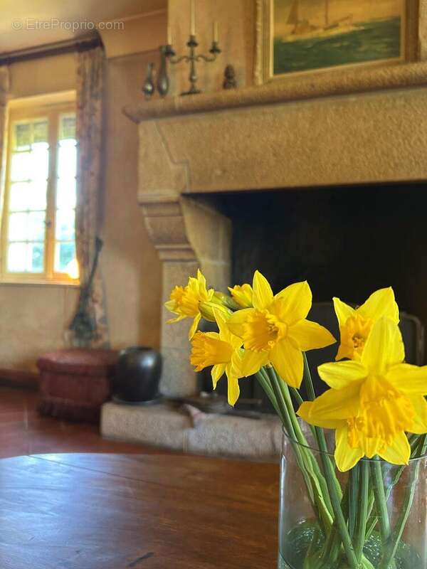 Maison à DOUARNENEZ