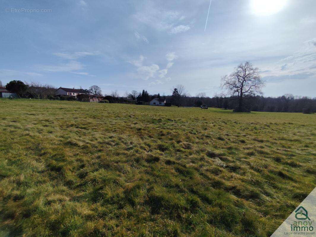 Terrain à SAINT-JUNIEN