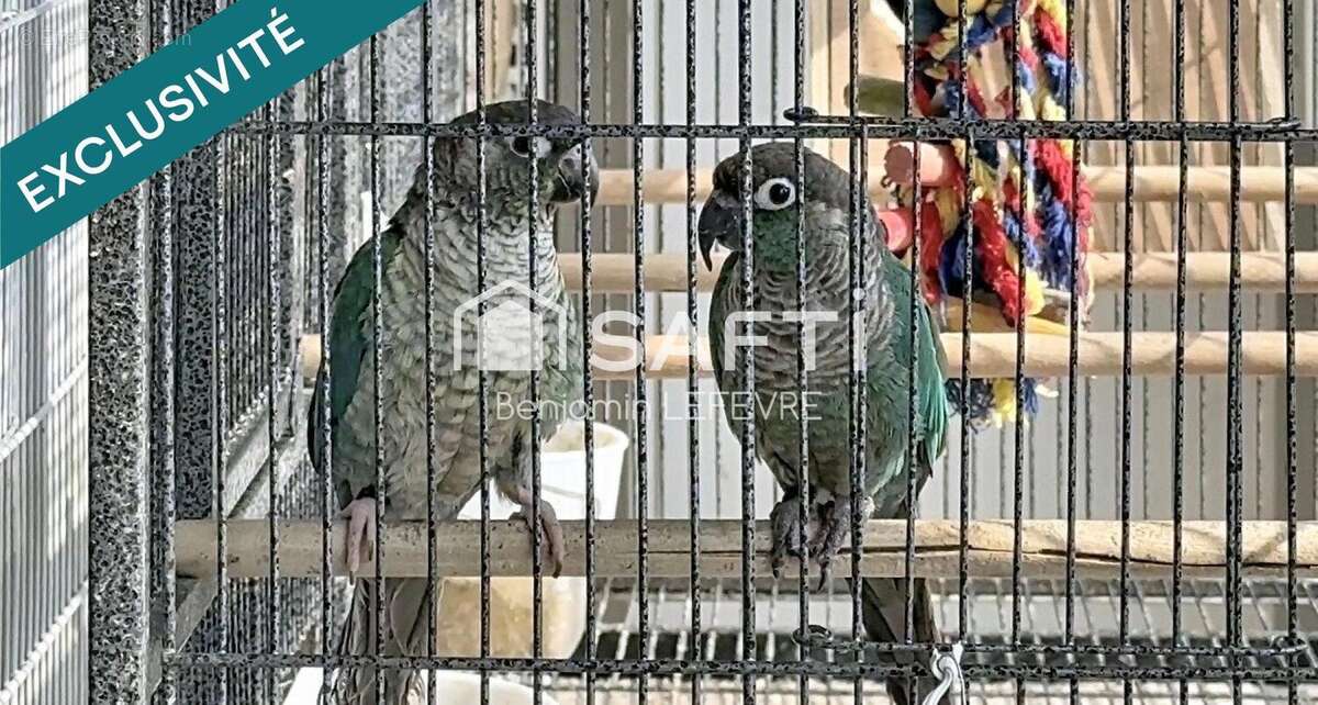 Photo 4 - Commerce à MARIGNANE