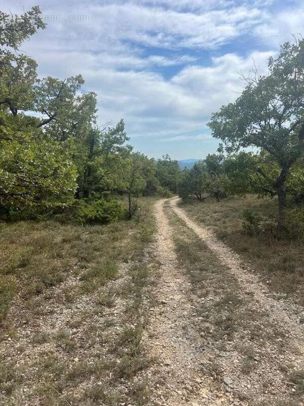 Photo 3 - Terrain à FORCALQUIER