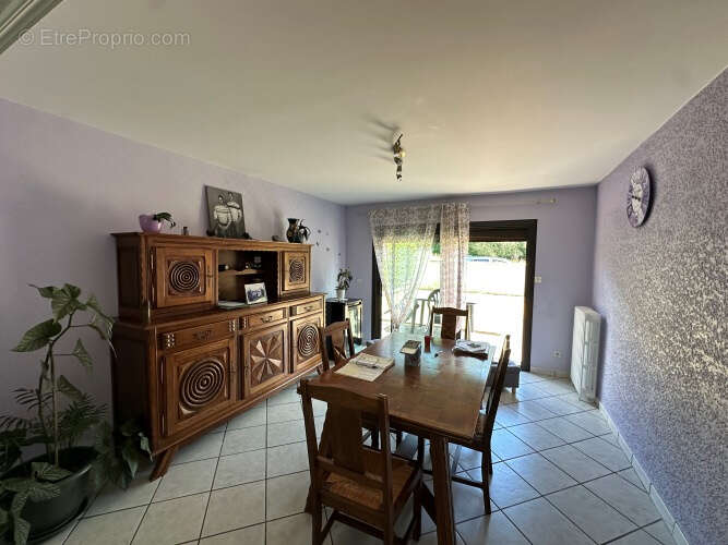 Les-ancizes-comps - photo 6