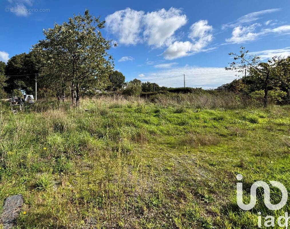 Photo 1 - Terrain à PLESSE