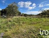 Photo 1 - Terrain à PLESSE