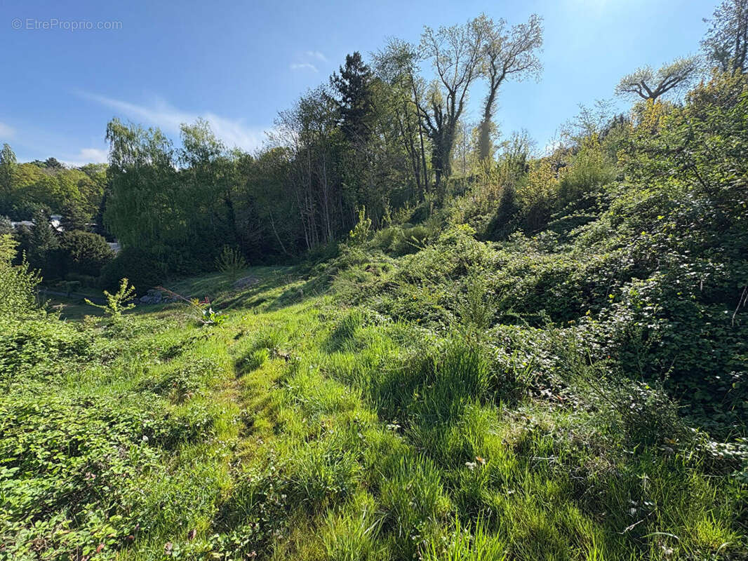 Terrain Saint Avold 3801 m2 - photo 8