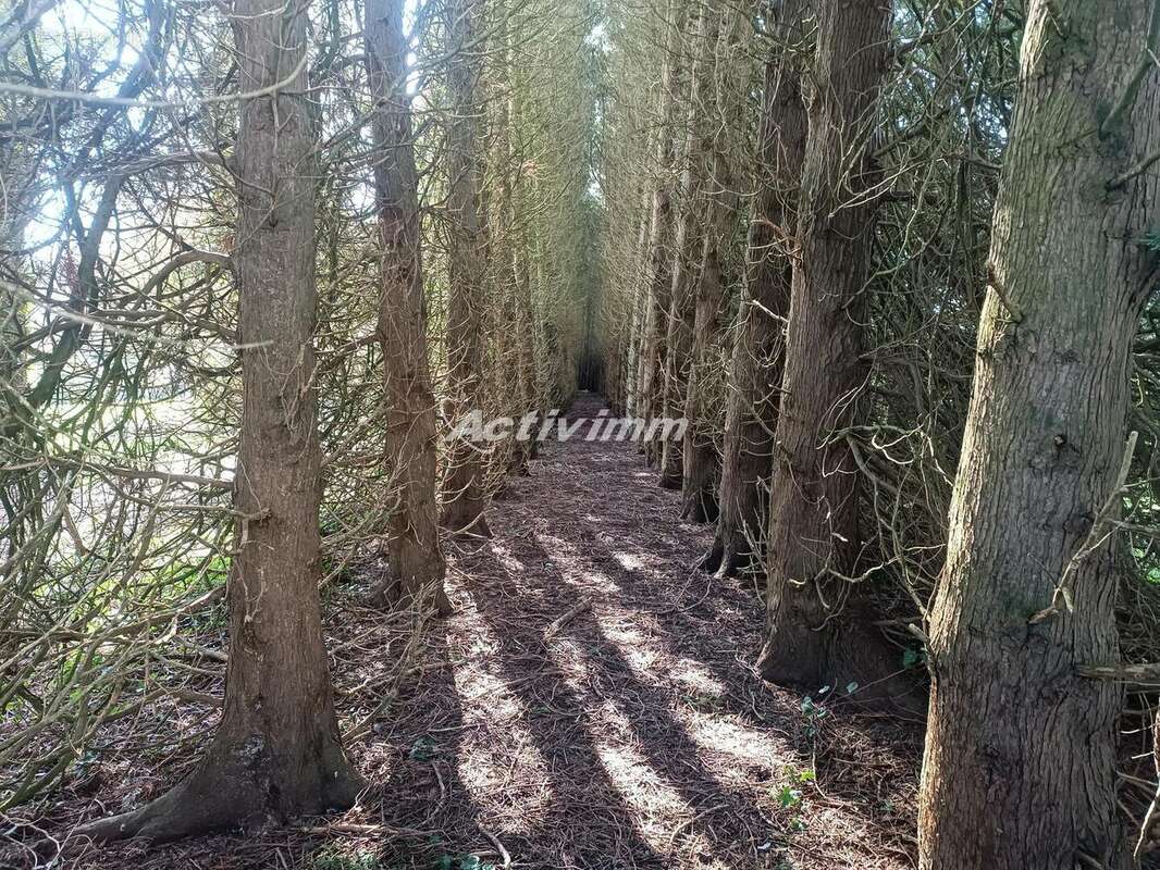 4260 64 - Maison à HESDIN