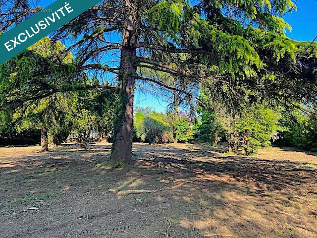 Photo 2 - Maison à COLAYRAC-SAINT-CIRQ