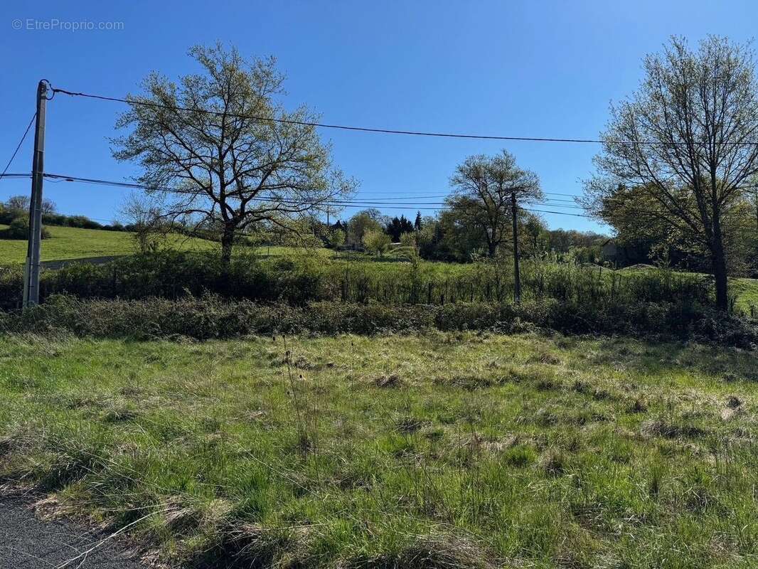 Terrain à MONTROZIER