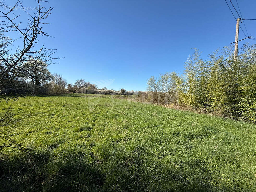 Terrain à SAINT-FARGEAU