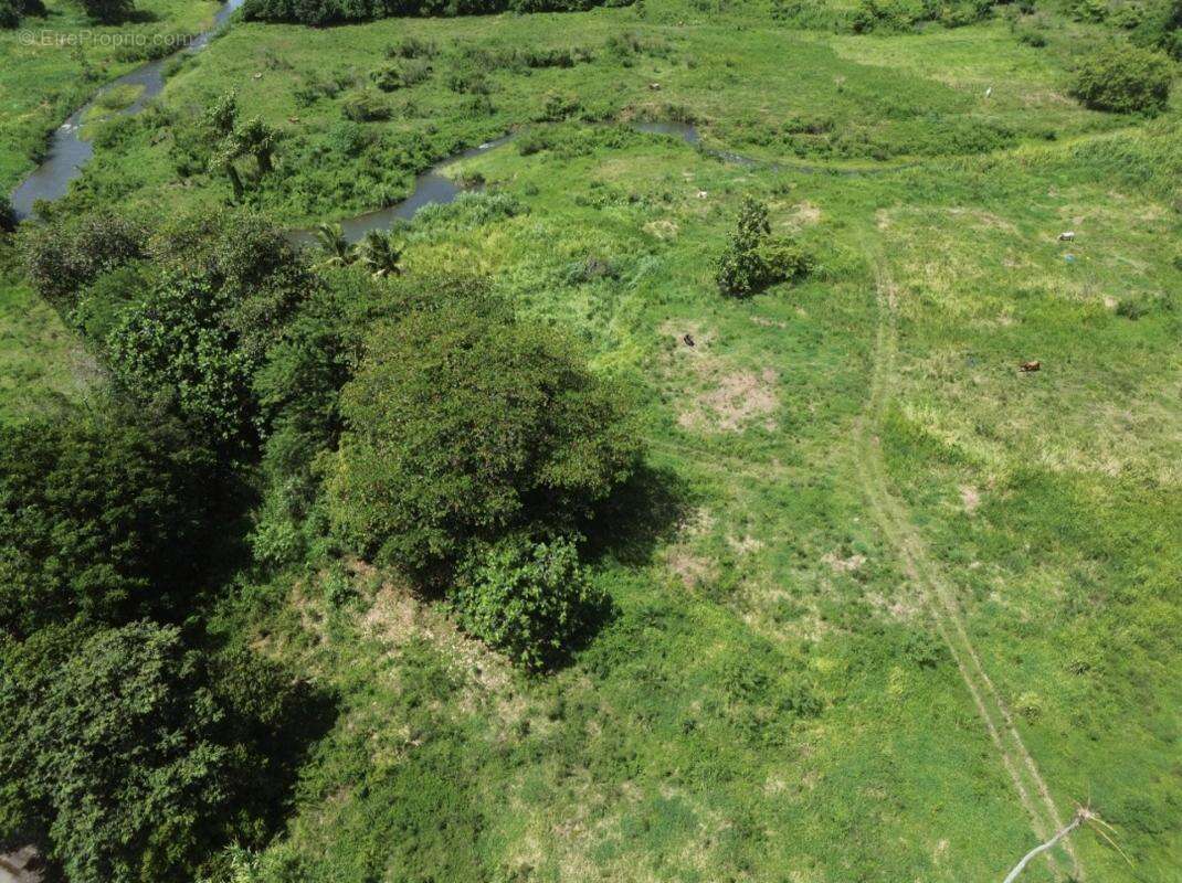 A vendre: terrain 1833 m2 petit-bourg 97170 - photo 2