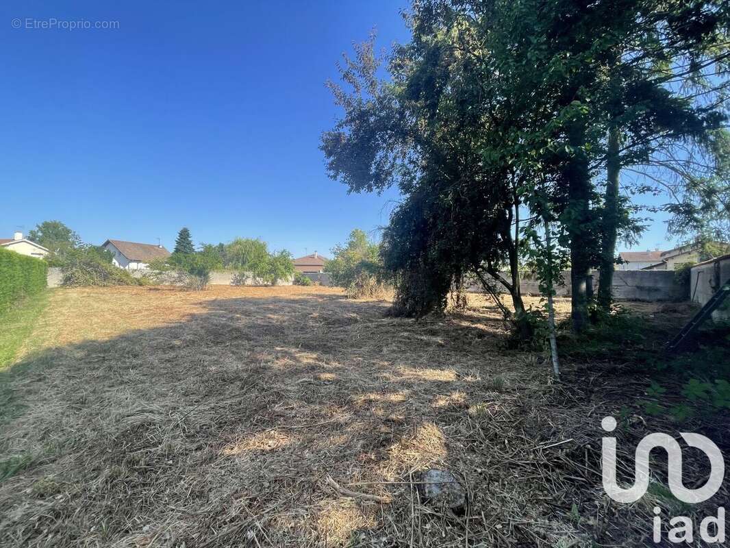 Photo 2 - Terrain à FEURS