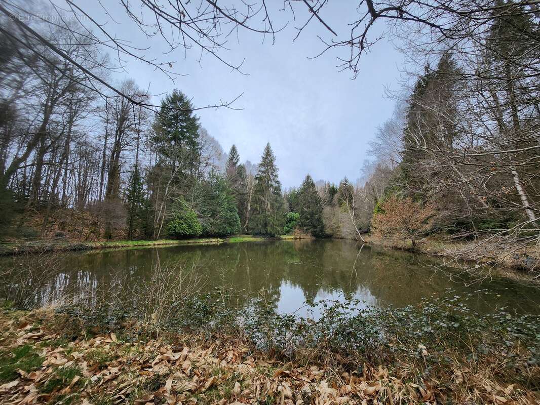 Terrain à BUSSIERE-GALANT
