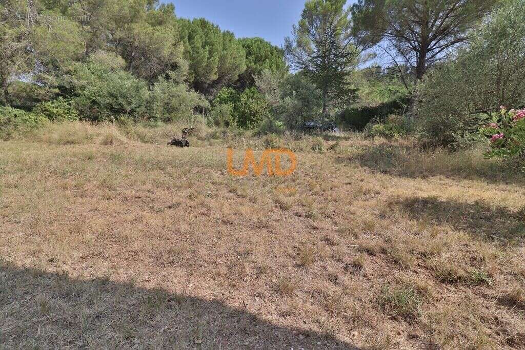 Le Val: terrain constructible de 1300m2 - photo 5