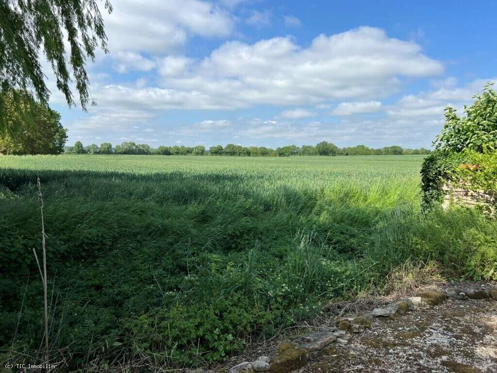 Maison à VILLEFAGNAN