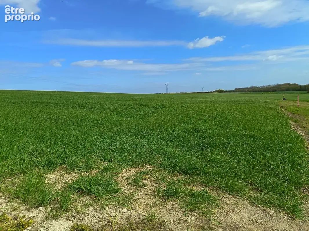 Terrain à CIRE-D'AUNIS