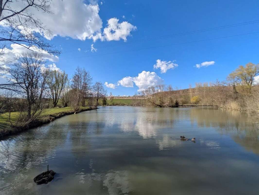 Terrain à PAREY-SOUS-MONTFORT