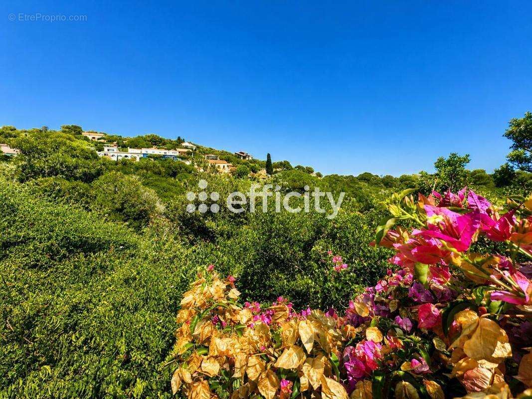 Appartement 127 m² à Hyeres  - photo 8