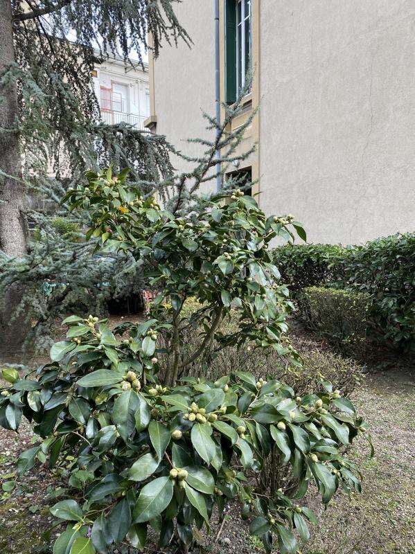 Maison à SAINT-ETIENNE