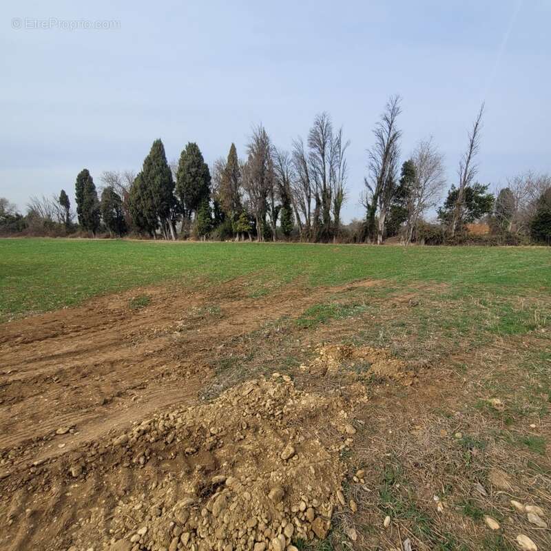 Terrain à SAINT-MARTIN-DE-CRAU