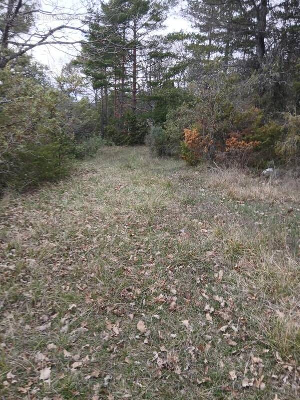   - Terrain à SAINT-VALLIER-DE-THIEY