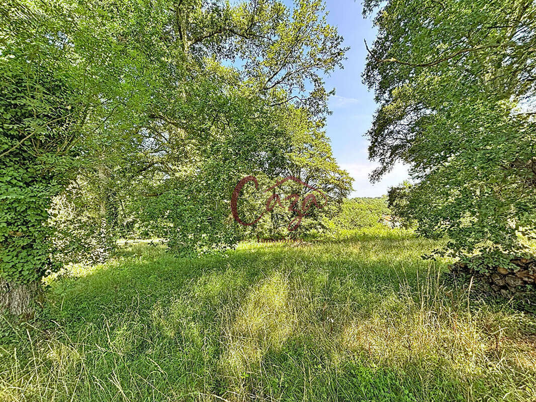 Terrain Fargues Saint Hilaire - photo 4