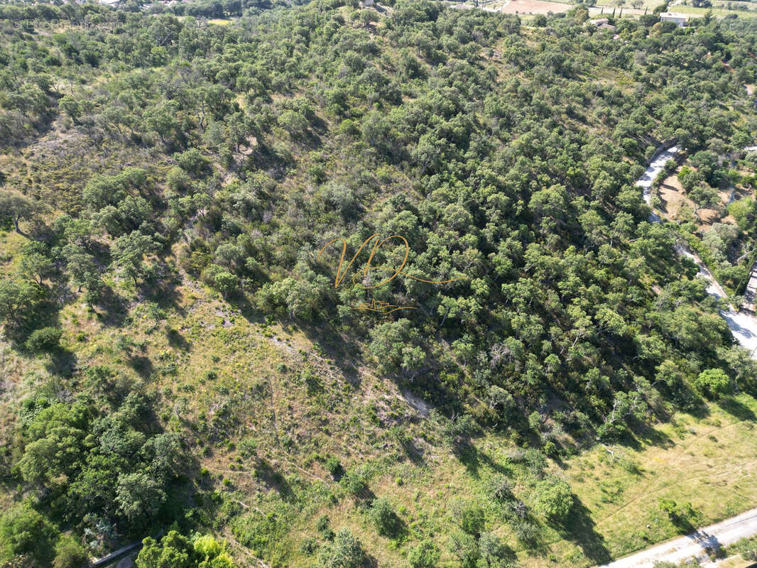 Terrain avec PC purgé - photo 5