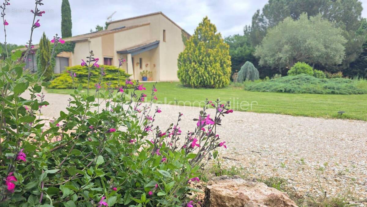 Maison à LAGRAVE