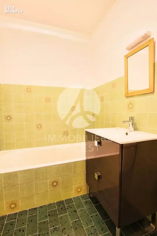 T1 bis - monplaisir - 38m² - photo 7