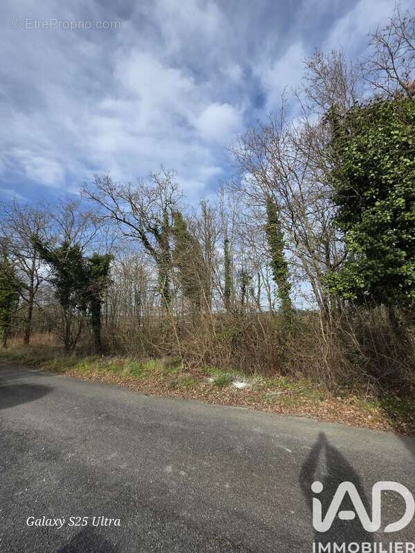 Photo 2 - Terrain à LE VIGAN