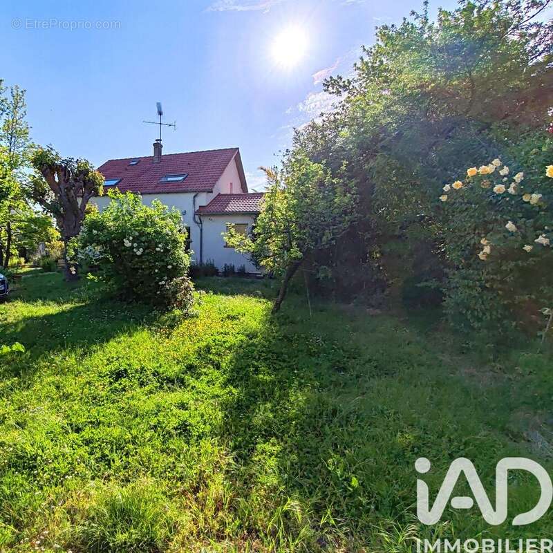 Photo 4 - Maison à SAINT-JEAN-DE-BRAYE