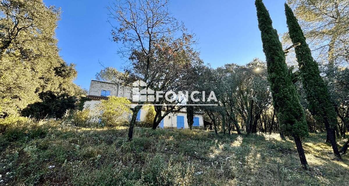 L'HORTUS - Salinelles - Villa au calme - 6ha garrigue - photo 12
