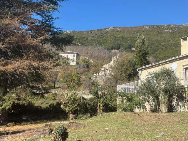 Maison 3 pièces à vendre à Piano (Haute Corse) — 83,25 m2 sur terrain de 2 230 m2 - photo 21