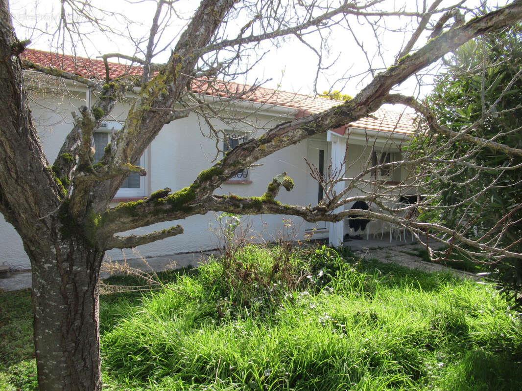 Maison à LA SALVETAT-SAINT-GILLES
