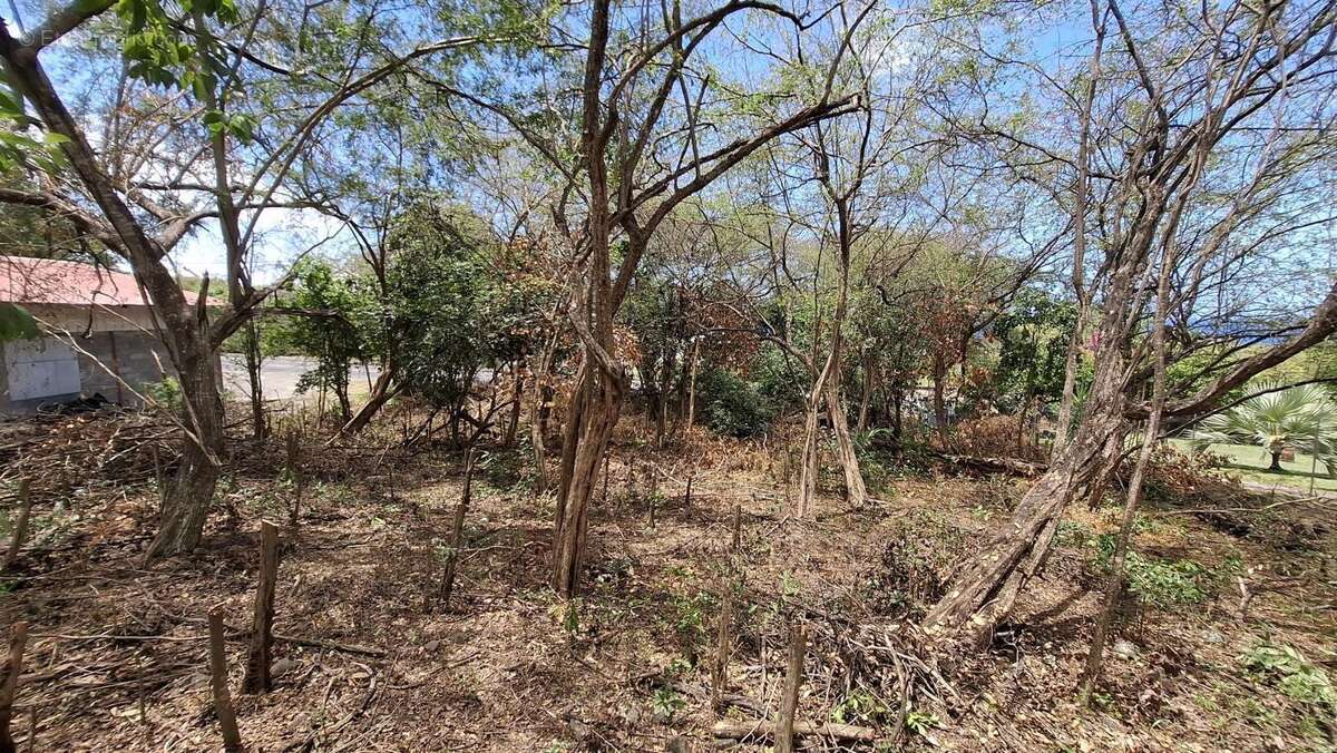 Terrain à BOUILLANTE