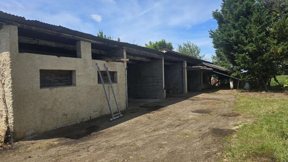 Maison 155 m² à Mielan  - photo 15