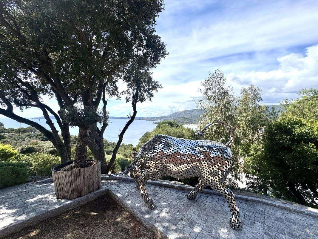Maison à LE LAVANDOU