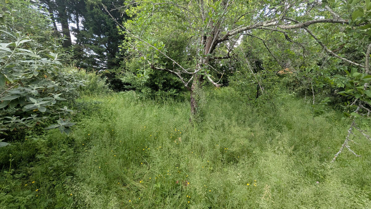 Terrain à MAGNE