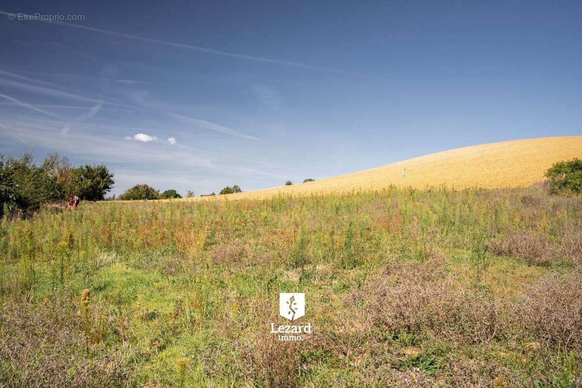 Terrain à SAINT-MICHEL-DE-LANES