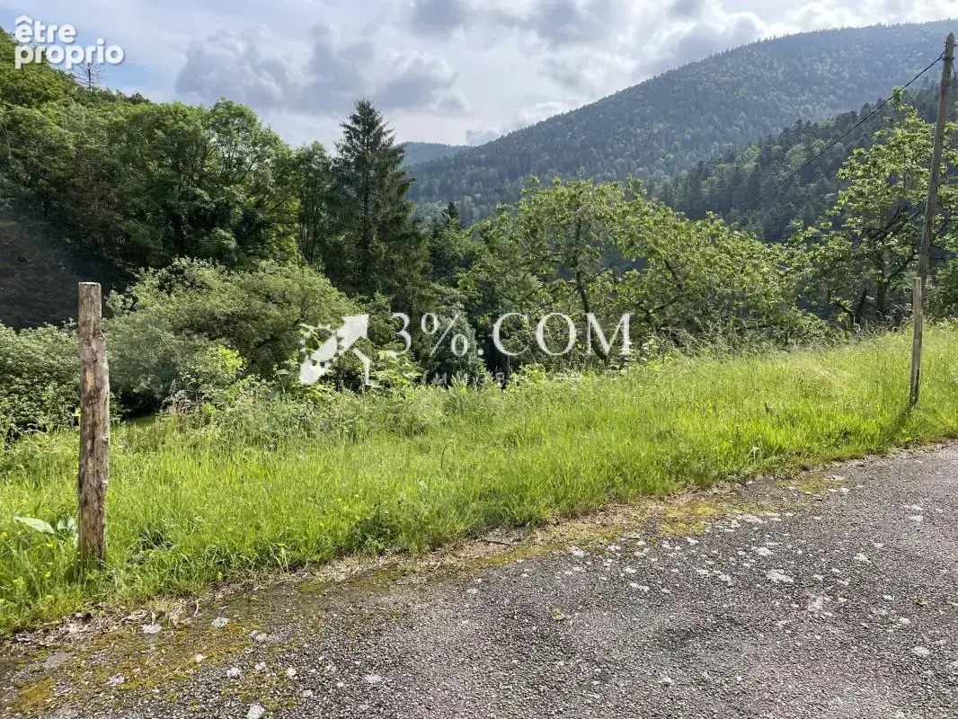 Maison gite dans un cadre naturel - photo 2